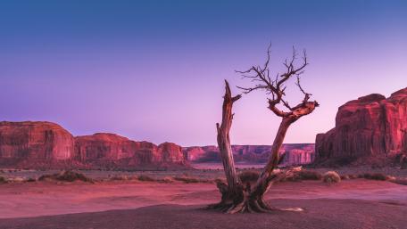 Desert in glow wallpaper