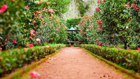 Mughal Garden, Delhi wallpaper