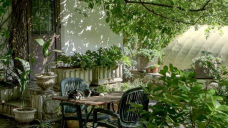 Serene Garden Table with Feline Companion wallpaper