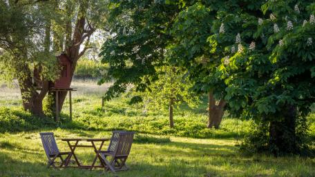Serene Tree House Retreat in Nature wallpaper