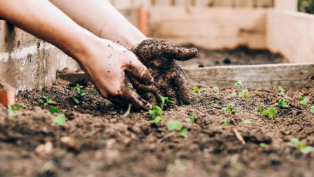Gardening wallpaper