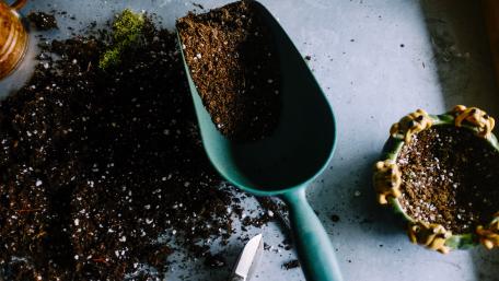 Gardening Bliss Awaits You in Soil Magic wallpaper
