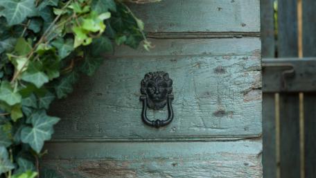 Nature's Touch at the Doorway wallpaper