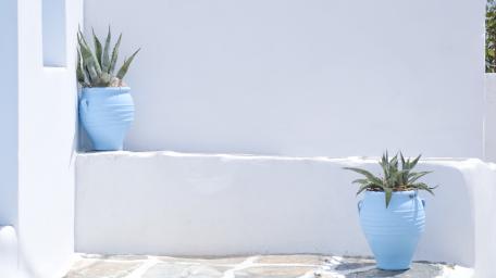Serene Blue Planters with Succulents in Beautiful Setting wallpaper
