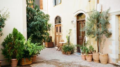 Serenity in a Lush Alleyway Garden wallpaper