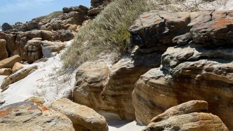Hidden beach at Cape of Good Hope wallpaper