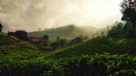 Kerala wallpaper