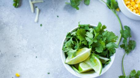 Vibrant Lime and Fresh Cilantro Wallpaper wallpaper