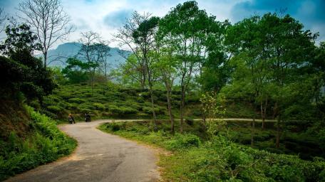 Road in Darjeeling wallpaper
