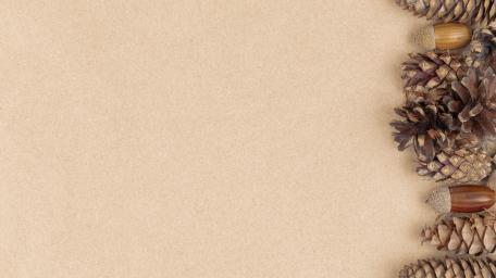 Minimal wallpaper
