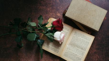 Romantic Rose and Vintage Book Scene wallpaper