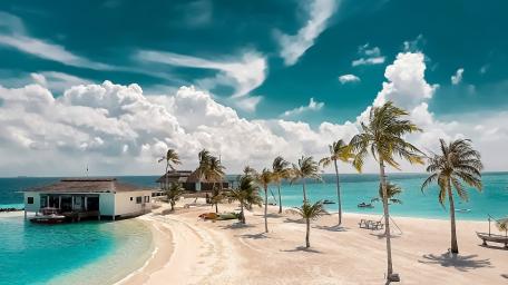 Tropical Beach Paradise wallpaper
