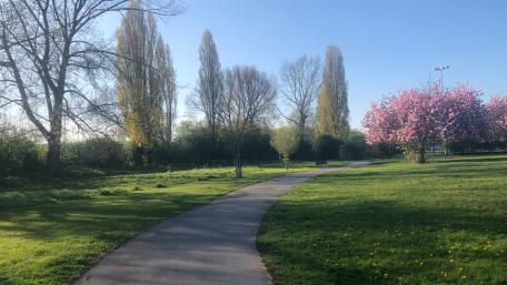 Springtime Serenity in UK Park wallpaper