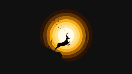 Majestic Deer Silhouette at Sunset wallpaper