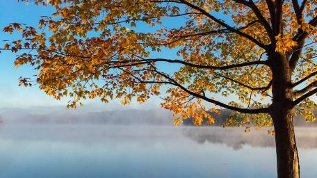 Vibrant Autumn Reflection Over Serene Lake wallpaper