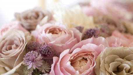 Pastel bouquet wallpaper