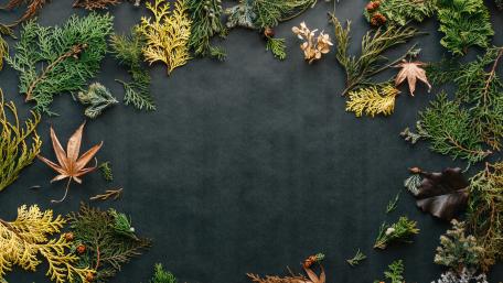 Nature's Canvas Celebration of Thanksgiving Charm wallpaper