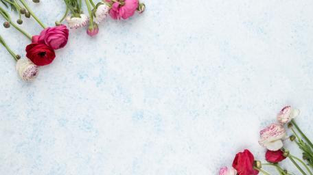 Vibrant Ranunculus Floral Wallpaper Design wallpaper