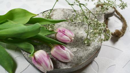 Elegant Pink Tulips on a Rustic Surface wallpaper