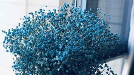 Serenity in Shades of Cobalt Blue Flowers wallpaper