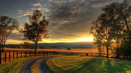 Golden Hour on a Country Road wallpaper