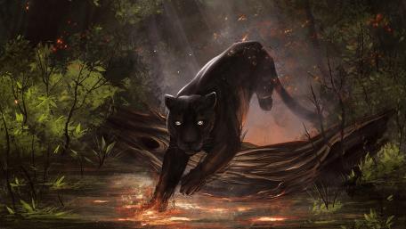 Black Panther wallpaper