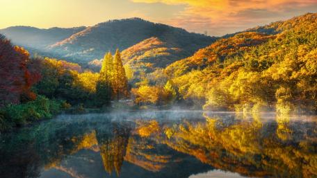 Vibrant Autumn Reflections in Nature's Embrace wallpaper