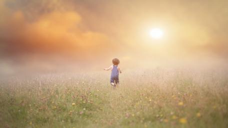 Chasing Dreams in a Foggy Meadow wallpaper