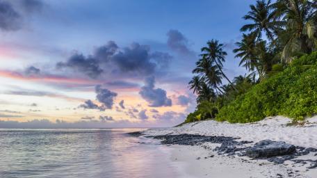 Breathtaking Sunset on a Tropical Beach Shore wallpaper