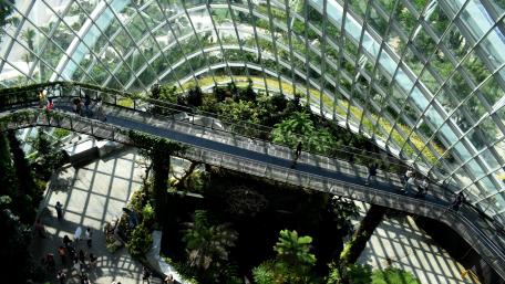 Cloud Forest, Singapore wallpaper