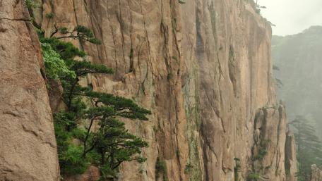 Majestic Cliff Surrounded by Nature's Beauty wallpaper