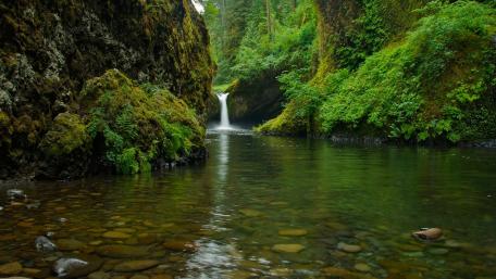 Punch Bowl Falls wallpaper