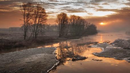 Serene Winter Wetland Reflections wallpaper