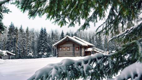 Winter Retreat in a Serene Forest Cabin wallpaper