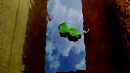 Serene Reflection of Nature's Beauty wallpaper