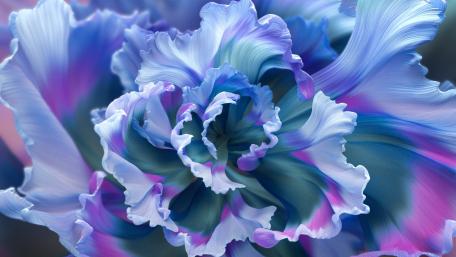Vibrant Blue Floral Elegance wallpaper
