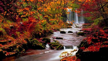 Autumn Serenity by the Waterfall wallpaper