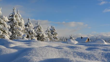 Winter Wonderland with Snowy Cabin in Nature wallpaper