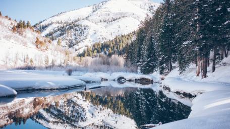 Winter Wonderland Serenity wallpaper
