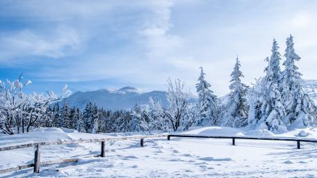 Tranquil Winter Wonderland Scene wallpaper