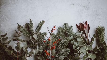 Festive Floral Arrangement for the Holidays wallpaper