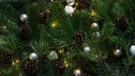Festive Christmas Greenery Wallpaper wallpaper