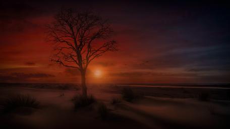 Desert Sunset Serenity for Reflection wallpaper