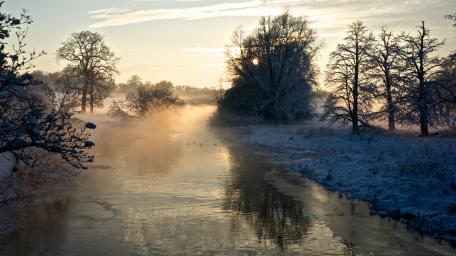 Winter Serenity Along a Tranquil Riverbank wallpaper