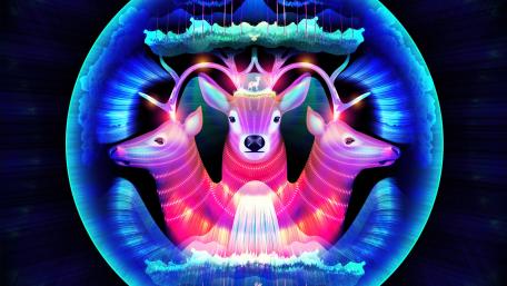 Pink deers wallpaper