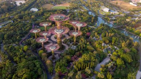 Supertree Grove, Gardens by the Bay wallpaper