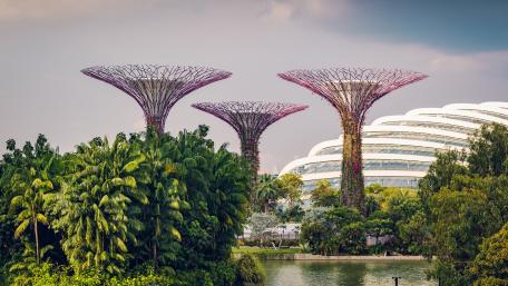 Futuristic Skyline with Iconic Supertrees wallpaper