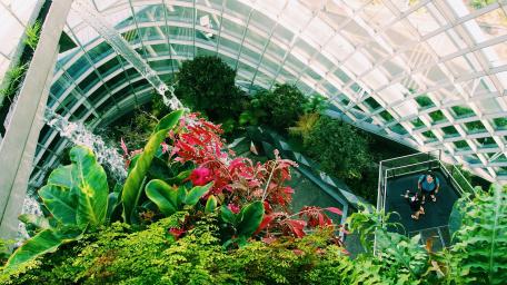 Vibrant Oasis in Singapore Gardens by the Bay wallpaper