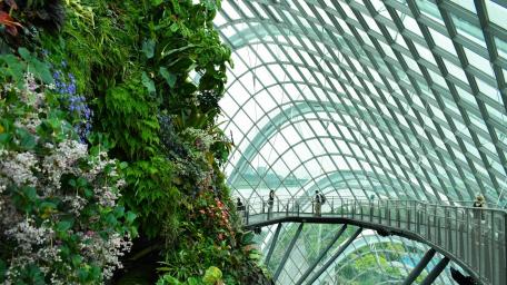 Lush Oasis Within Urban Splendor at Gardens by the Bay wallpaper