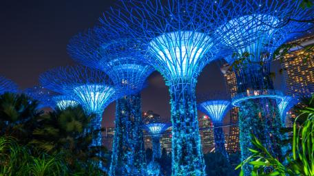 Supertree Grove, Gardens by the Bay wallpaper